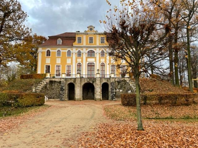 Pension Grandel Kottmar Exterior photo